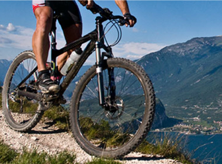 Harvie Wealth Management Group, Richmond VA